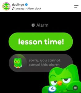 alt=duo-lingo-mascot-post